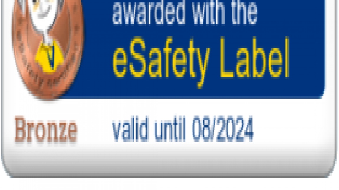 e-Safety Label Bronz Etiket Aldık